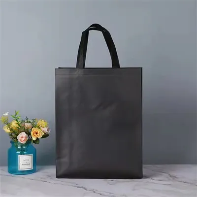 Loop Handle Non Woven Bags