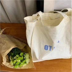 Simple Canvas Shoulder Bag